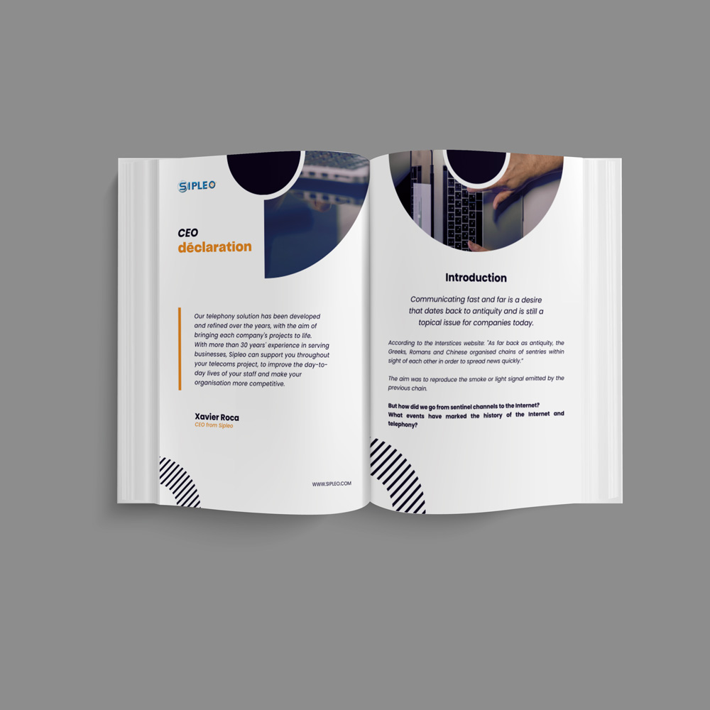 ebook-whitepaper-sipleo-telecoms-business-ipbx